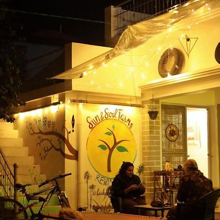 Sun n Soil Backpacker Hostel Lachhiwala Exteriör bild