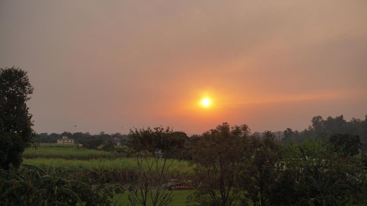 Sun n Soil Backpacker Hostel Lachhiwala Exteriör bild