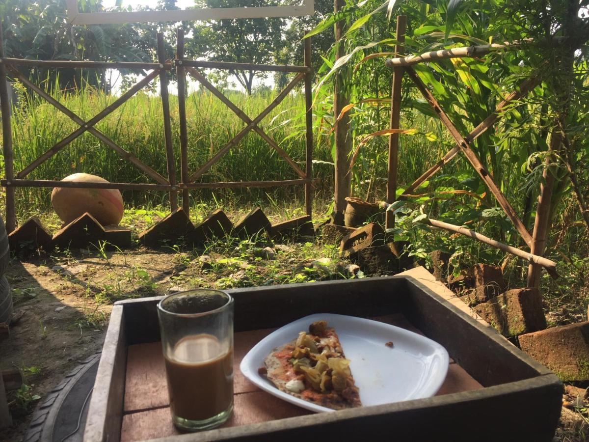 Sun n Soil Backpacker Hostel Lachhiwala Exteriör bild