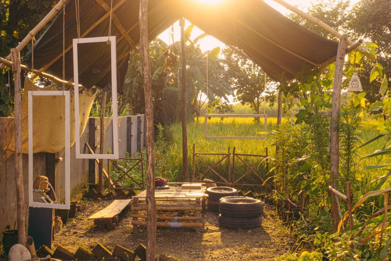 Sun n Soil Backpacker Hostel Lachhiwala Exteriör bild